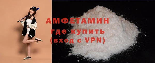 прущая мука Вяземский