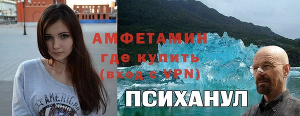 прущая мука Вяземский